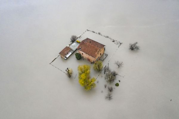 Ảnh «Flood» (năm 2020) của Michele Lapini, đoạt giải trong hạng mục «Môi trường tương lai» của cuộc thi Environmental Photographer of the Year 2021 - Sputnik Việt Nam