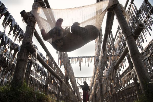 Ảnh «Working Mother» (2021) của Riben Dhar, lọt vào vòng chung kết của cuộc thi The Environmental Photographer of the Year 2021 - Sputnik Việt Nam
