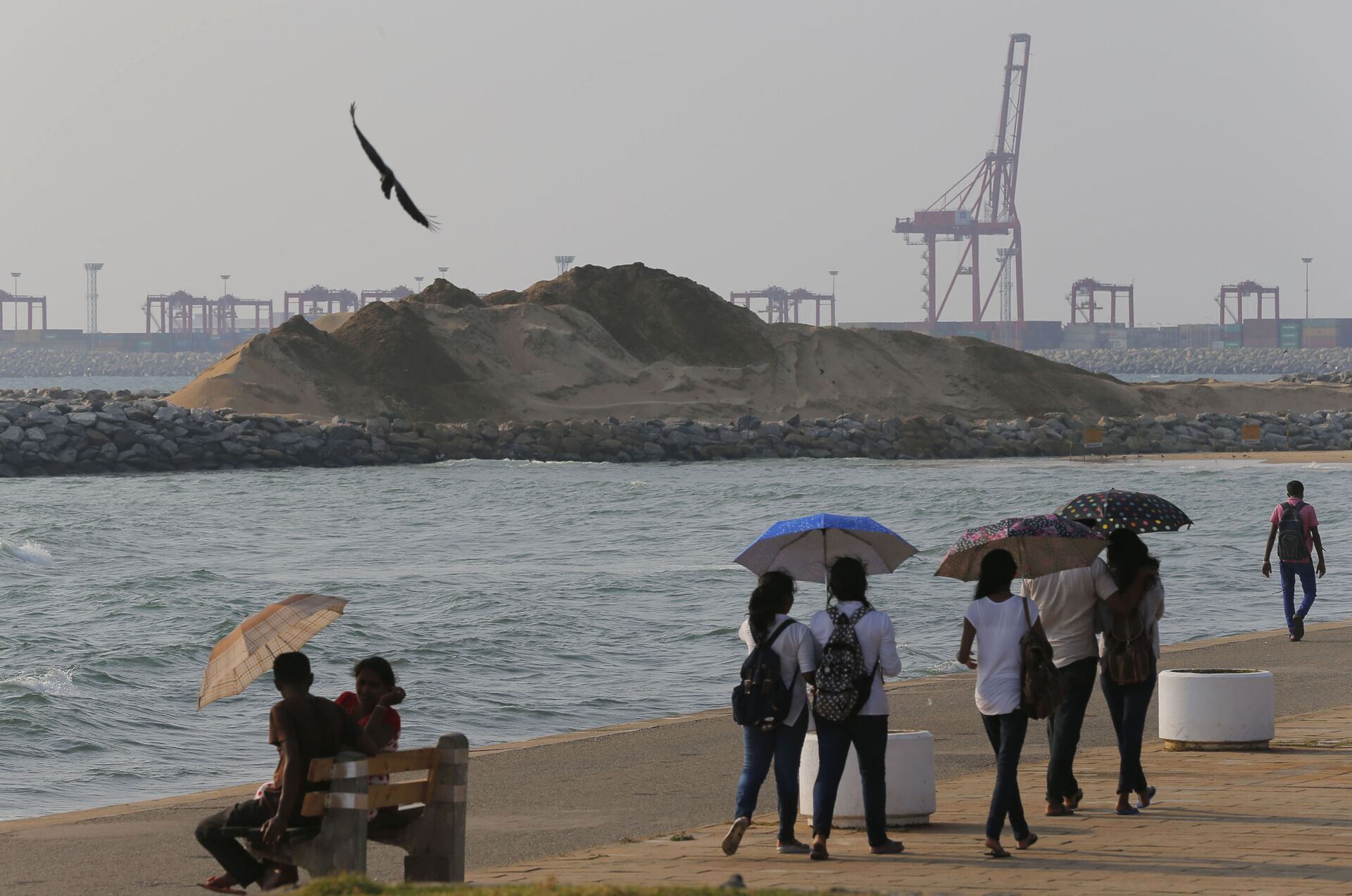 Quang cảnh cảng Colombo Sri Lanka - Sputnik Việt Nam, 1920, 29.11.2021