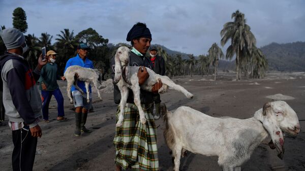 Sơ tán sau vụ phun trào của núi lửa Semeru ở Indonesia - Sputnik Việt Nam