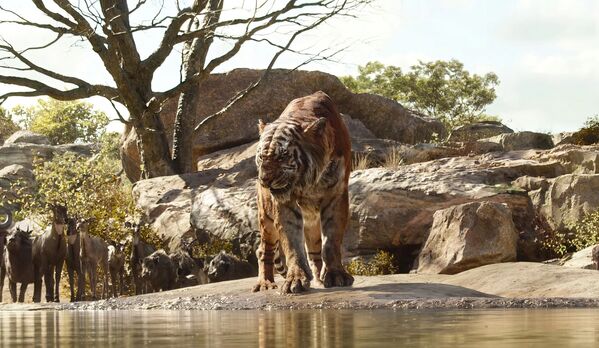 Cảnh trong phim Cậu bé rừng xanh (The Jungle Book) (2016). Cuộc đấu tranh không khoan nhượng với con hổ Sherkhan nguy hiểm và khủng khiếp buộc cậu bé Mowgli phải rời bỏ đàn sói về với dân làng. Những khám phá lạ lùng và cuộc phiêu lưu kỳ thú đang chờ đón cậu bé ở phía trước. - Sputnik Việt Nam