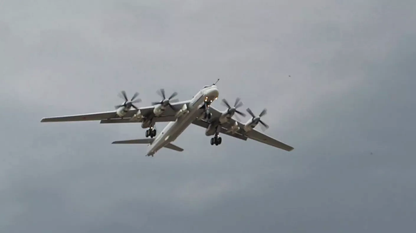 Máy bay ném bom chiến lược Tu-95MSM - Sputnik Việt Nam