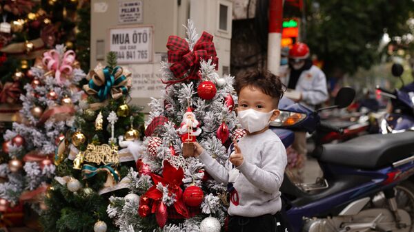 Một người bà ghi lại khoảnh khắc của cháu trai mình cùng Cây thông Noel trên phố Hàng Mã - Sputnik Việt Nam