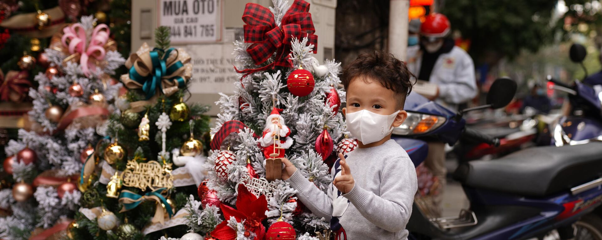 Một người bà ghi lại khoảnh khắc của cháu trai mình cùng Cây thông Noel trên phố Hàng Mã - Sputnik Việt Nam, 1920, 30.09.2024