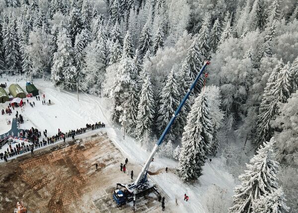 Đốn cây thông để làm cây Noel chính, Nga - Sputnik Việt Nam