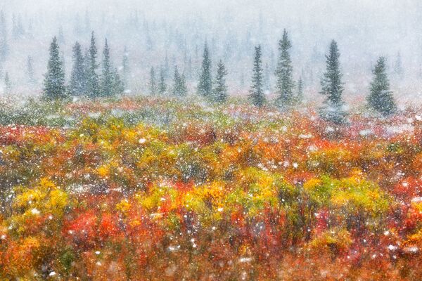 Bức ảnh của nhiếp ảnh gia Ý Fortunato Gatto, giải thưởng cuộc thi 2021 Travel Photographer of the Year - Sputnik Việt Nam