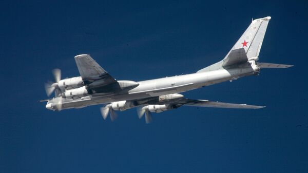 Máy bay ném bom cận âm chiến lược mang tên lửa loại Tu-95 - Sputnik Việt Nam