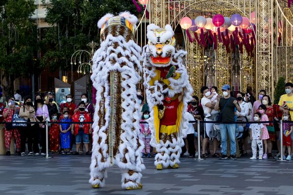 Múa sư tử truyền thống trong lễ đón Tết Nguyên đán ở Bangkok - Sputnik Việt Nam