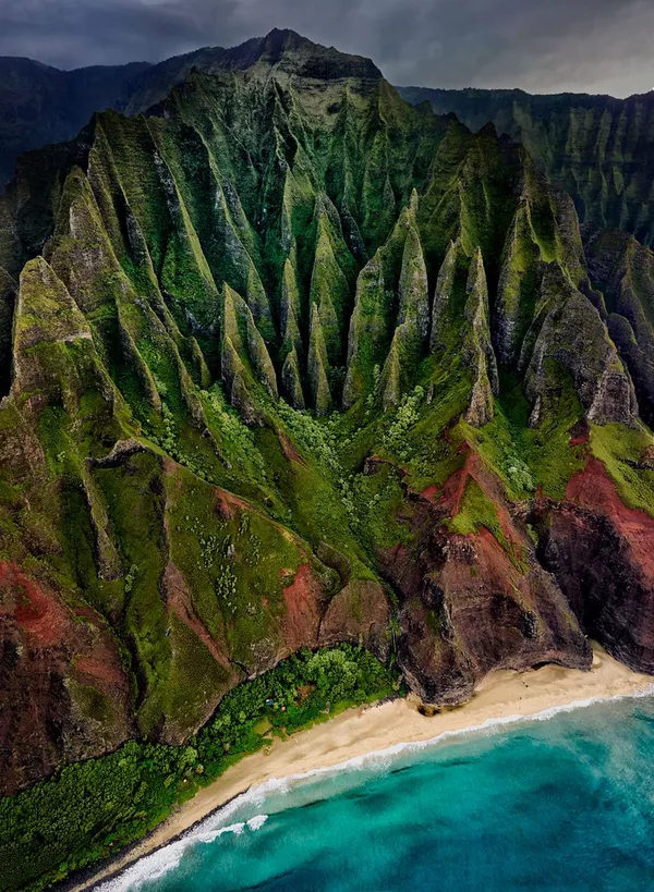 Bức ảnh chụp ở Hawaii "Bờ biển Na Pali" của nhiếp ảnh gia Stuart Chape đoạt giải nhất hạng mục Thực vật & Hành tinh của cuộc thi The International Garden Photographer of the Year Competition-15 Bức ảnh chụp ở Hawaii "Bờ biển Na Pali" của nhiếp ảnh gia Stuart Chape đoạt giải nhất hạng mục Thực vật & Hành tinh của cuộc thi The International Garden Photographer of the Year Competition-15 - Sputnik Việt Nam