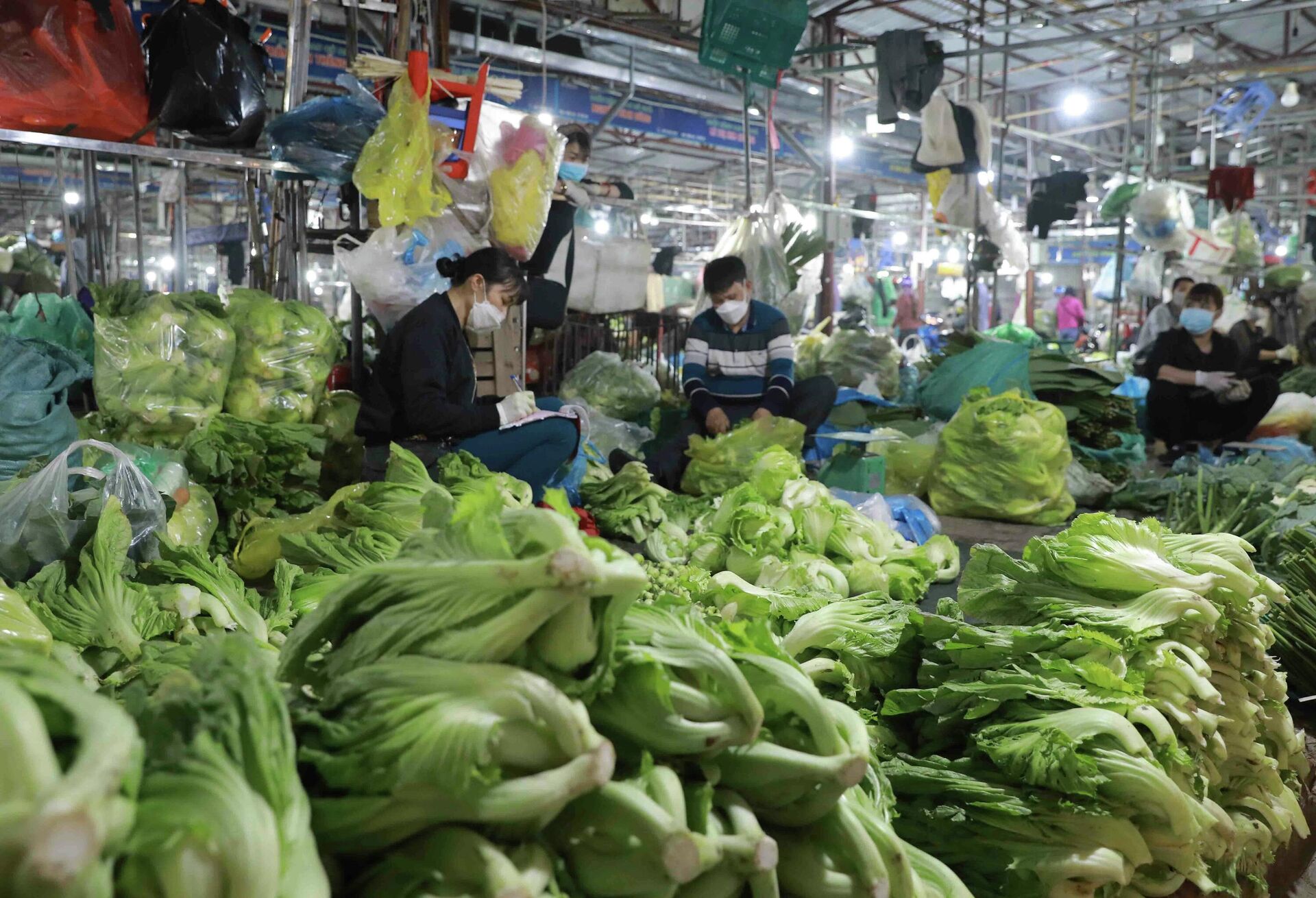 Nguồn hàng các loại nông sản tại chợ Phùng Khoang, quận Nam Từ Liêm trong những ngày này rất dồi dào, giá cả giữ ổn định như những ngày bình thường trong năm - Sputnik Việt Nam, 1920, 22.02.2022