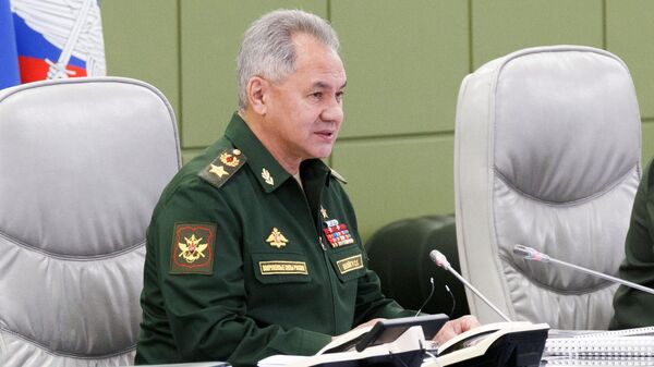 Bộ trưởng Quốc phòng Nga Sergei Shoigu - Sputnik Việt Nam