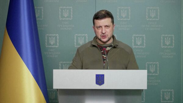 Vladimir Zelensky - Sputnik Việt Nam