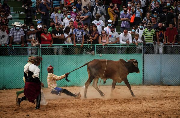 Môn đua ngựa rodeo tại Hội chợ Nông nghiệp Quốc tế Fiagrop 2022 ở Havana, Cuba - Sputnik Việt Nam