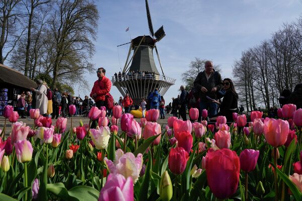 Du khách bên hoa tulip trong vườn hoa Keukenhof ở Lisse, Hà Lan - Sputnik Việt Nam