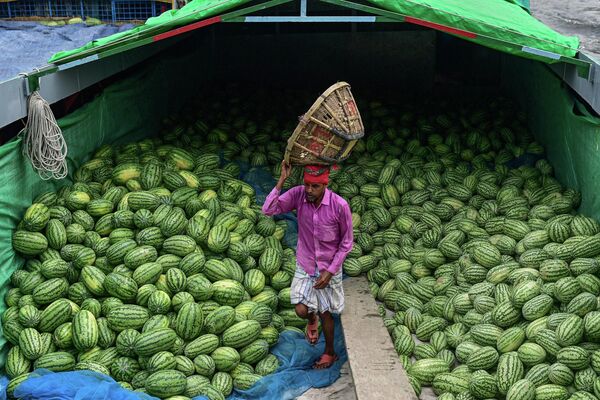 Người đàn ông bốc dỡ dưa hấu từ chiếc thuyền trên sông Buriganga ở Dhaka - Sputnik Việt Nam