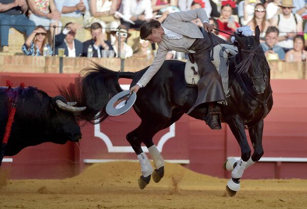 Võ sĩ đấu bò trong lễ hội trên đấu trường Feria de Abril ở Seville, Tây Ban Nha - Sputnik Việt Nam