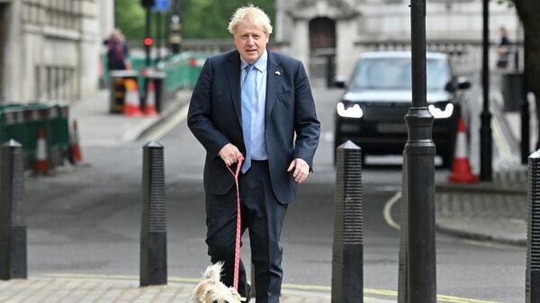 Thủ tướng Vương quốc Anh Boris Johnson - Sputnik Việt Nam