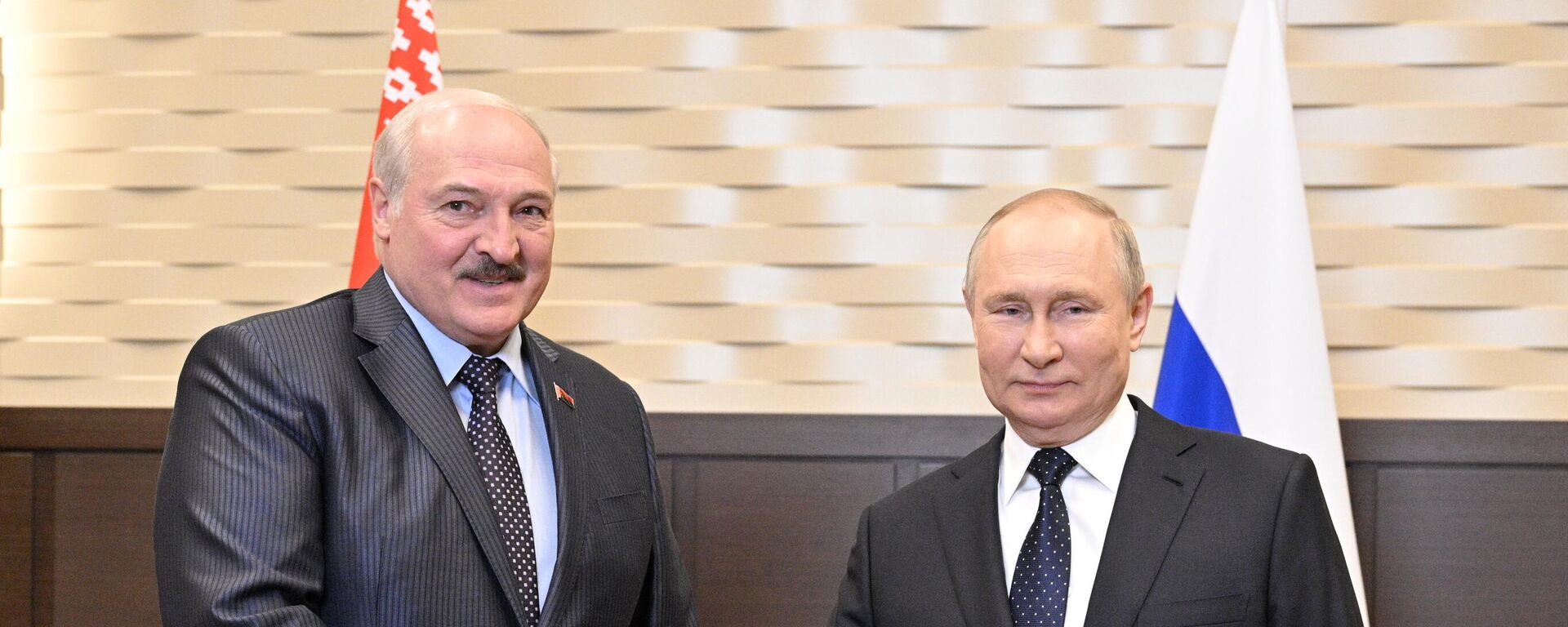 Cuộc đàm phán của Tổng thống Liên bang Nga V.Putin với Tổng thống Belarus A.Lukashenko - Sputnik Việt Nam, 1920, 03.07.2024