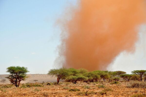 Bão cát ở Somaliland. - Sputnik Việt Nam