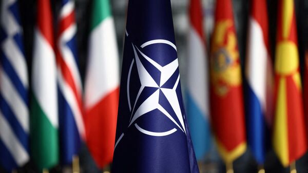 NATO - Sputnik Việt Nam