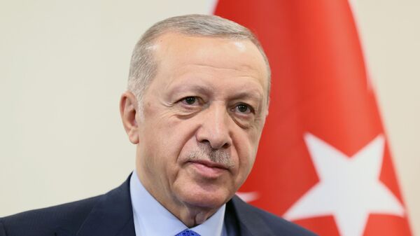 Chuyến thăm và làm việc của Tổng thống Thổ Nhĩ Kỳ Recep Tayyip Erdogan tới Iran - Sputnik Việt Nam