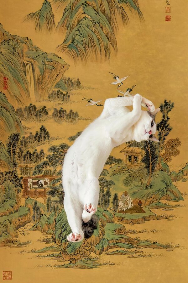 Ukiyo-e của nhiếp ảnh gia Nhật Bản Kazutoshi Ono, chung kết cuộc thi Animal Friends Comedy Pet Photo Awards 2022. - Sputnik Việt Nam