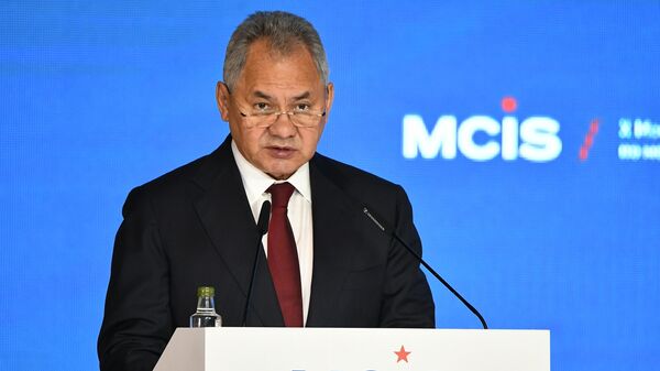 Bộ trưởng Quốc phòng Sergei Shoigu - Sputnik Việt Nam