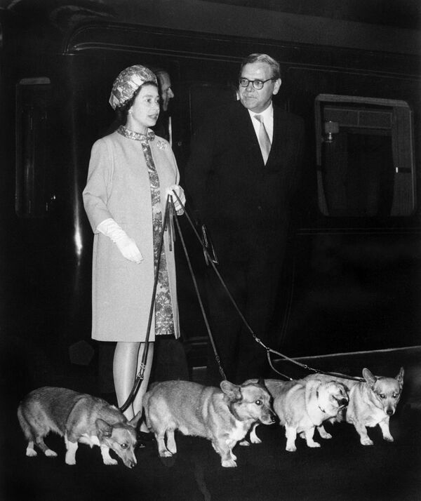 Nữ hoàng Elizabeth II tại ga đường sắt King&#x27;s Cross ở London ngày 15 tháng 10 năm 1969 cùng với 4 con chó corgis của bà. - Sputnik Việt Nam