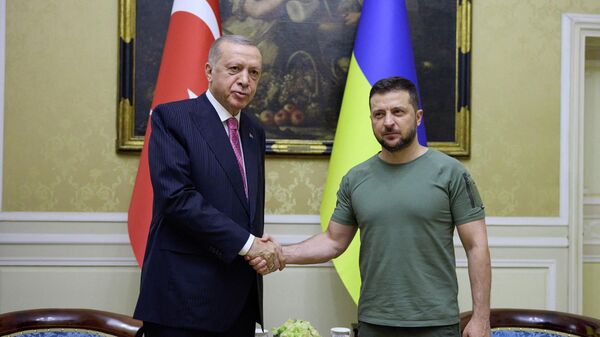 Tổng thống Thổ Nhĩ Kỳ Recep Tayyip Erdogan và Tổng thống Ukraine Volodymyr Zelensky tại cuộc gặp ở Lvov - Sputnik Việt Nam