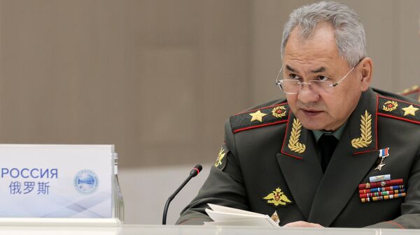 Bộ trưởng Quốc phòng Nga Sergei Shoigu - Sputnik Việt Nam