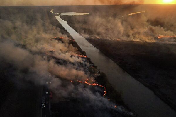 Cháy rừng ở Entre Rios, Argentina. - Sputnik Việt Nam