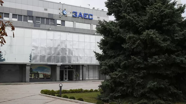 Phái đoàn IAEA đến thăm Zaporozhye NPP - Sputnik Việt Nam