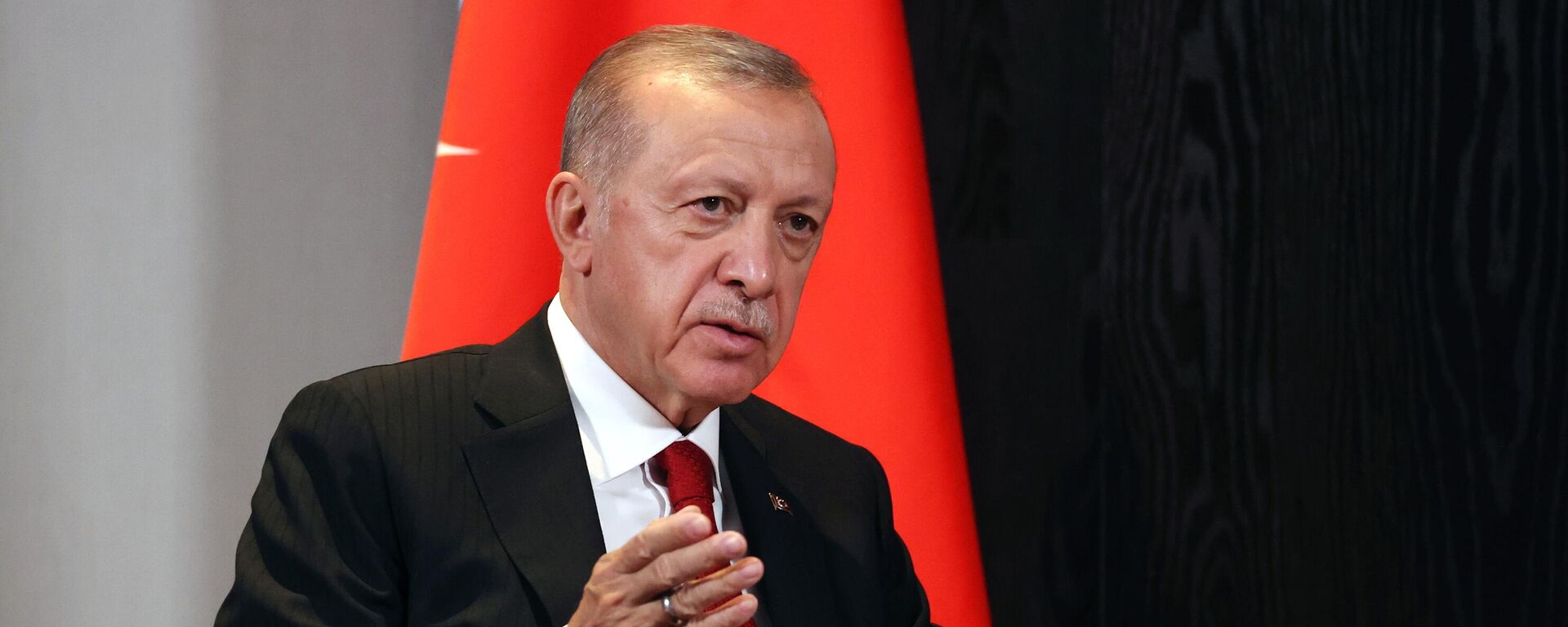 Tổng thống Thổ Nhĩ Kỳ Recep Tayyip Erdogan - Sputnik Việt Nam, 1920, 26.12.2022