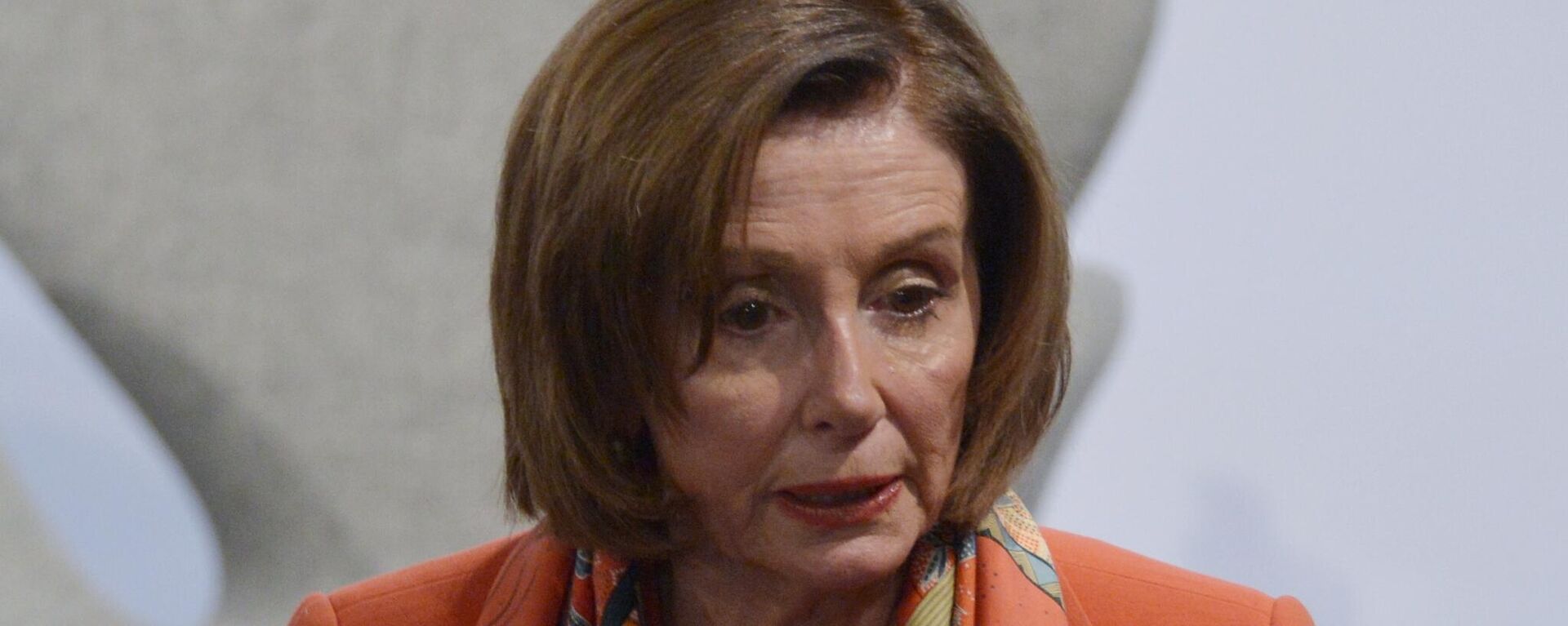 Chủ tịch Hạ viện Hoa Kỳ Nancy Pelosi tại Hội nghị An ninh Munich - Sputnik Việt Nam, 1920, 18.09.2022