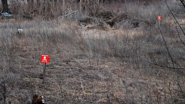 DNR - Sputnik Việt Nam