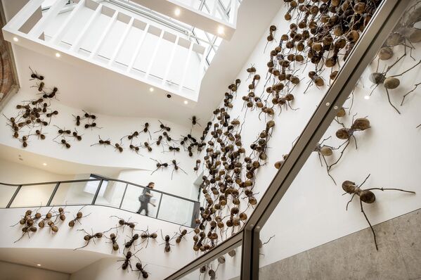 Tác phẩm «Casa Tomada» của hoạ sĩ Rafael Gómez Barros trong khuôn khổ triển lãm Creeps tại Rijksmuseum ở Amsterdam. - Sputnik Việt Nam