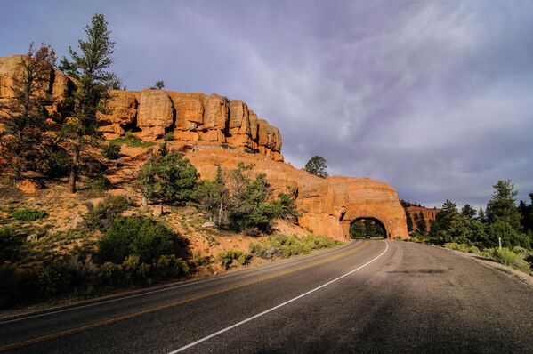 Con đường trong Công viên Bryce Canyon ở Hoa Kỳ. - Sputnik Việt Nam