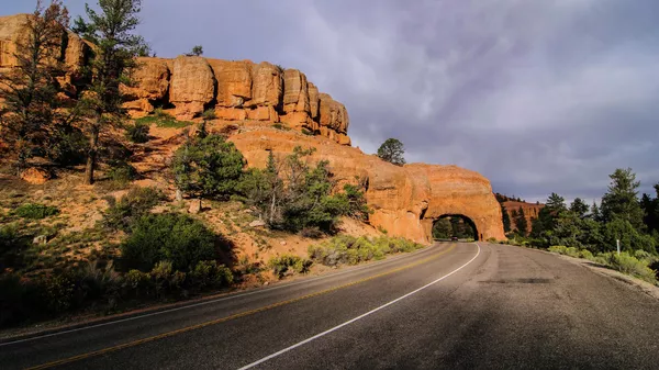 Con đường trong Công viên Bryce Canyon ở Hoa Kỳ - Sputnik Việt Nam