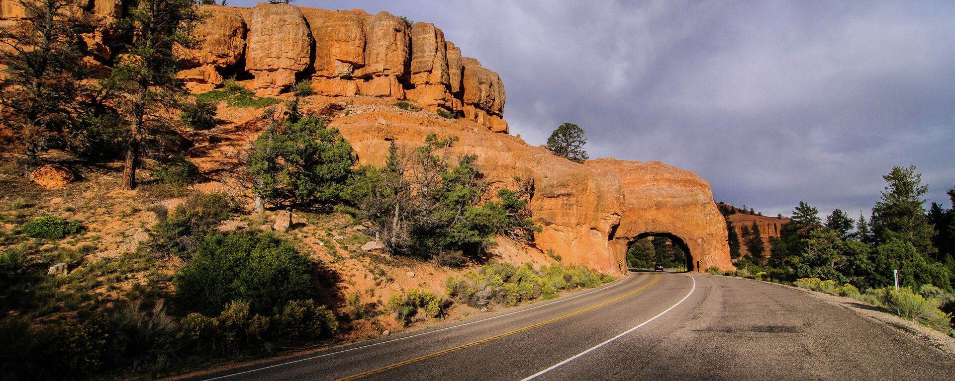 Con đường trong Công viên Bryce Canyon ở Hoa Kỳ - Sputnik Việt Nam, 1920, 03.05.2025