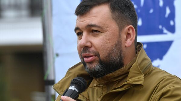 Ông Denis Pushilin, người đứng đầu DNR  - Sputnik Việt Nam