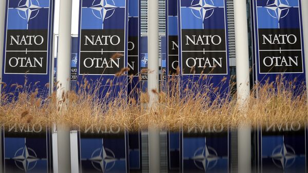 Biểu ngữ có logo NATO - Sputnik Việt Nam