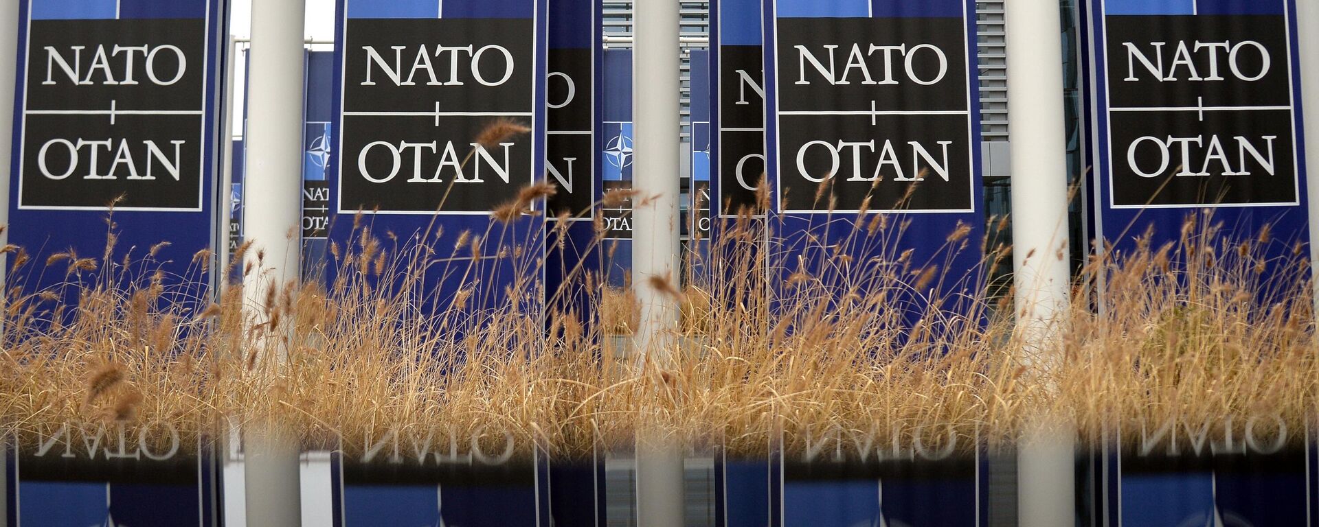 Biểu ngữ có logo NATO - Sputnik Việt Nam, 1920, 11.11.2022