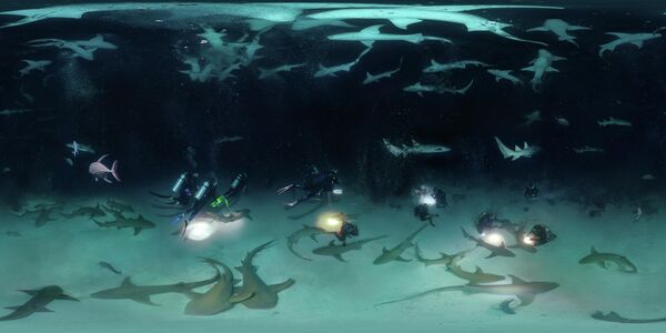 Ảnh “Night diving with 100 nurse sharks” của nhiếp ảnh gia người Nga Oleg Gaponyuk, người chiến thắng trong hạng mục VR_360 tại EPSON International Pano Awards 2022. - Sputnik Việt Nam