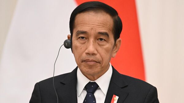 Tổng thống Nga Vladimir Putin gặp Tổng thống Indonesia J. Widodo - Sputnik Việt Nam