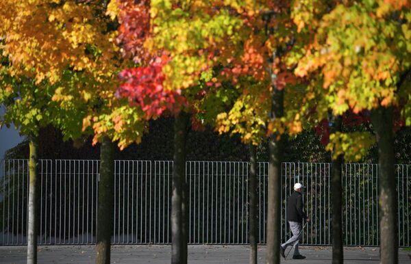 Người đàn ông đi bộ trong ngày nắng qua những cây mùa thu ở quận Tyrgarten, Berlin, Đức. - Sputnik Việt Nam