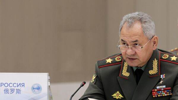 Bộ trưởng Quốc phòng Nga Sergei Shoigu - Sputnik Việt Nam