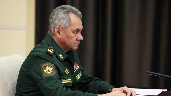 Tổng thống Liên bang Nga V.Putin gặp Bộ trưởng Bộ Quốc phòng Liên bang Nga S. Shoigu - Sputnik Việt Nam