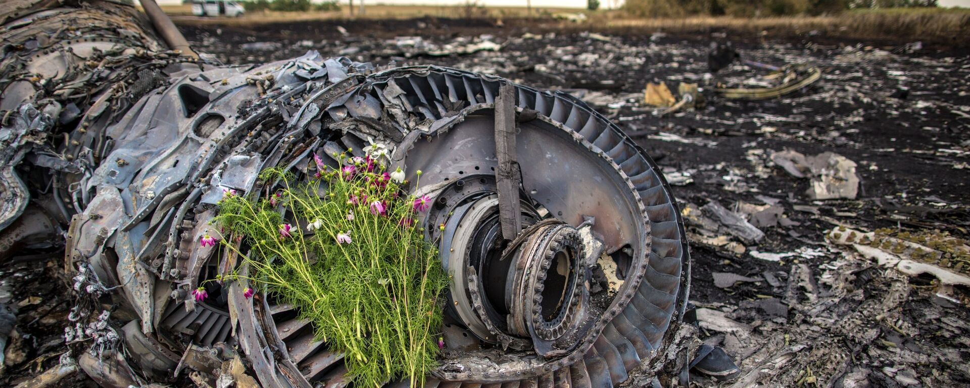 Hoa trên động cơ chiếc Boeing 777 của Hãng hàng không Malaysia gặp nạn gần thành phố Shakhtersk, vùng Donetsk. - Sputnik Việt Nam, 1920, 14.05.2025