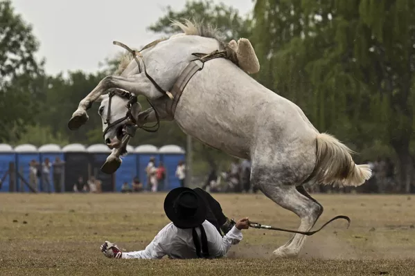 Rodeo trong Lễ hội Truyền thống ở San Antonio de Areco, Argentina Rodeo trong Lễ hội Truyền thống ở San Antonio de Areco, Argentina - Sputnik Việt Nam