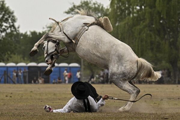 Rodeo trong Lễ hội Truyền thống ở San Antonio de Areco, Argentina - Sputnik Việt Nam